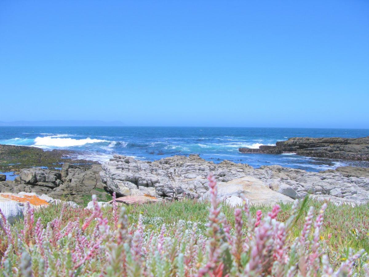 Beachfront Cottage - Hermanus Whale View 外观 照片