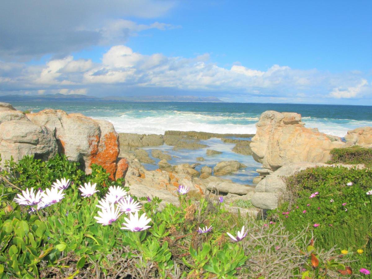 Beachfront Cottage - Hermanus Whale View 外观 照片