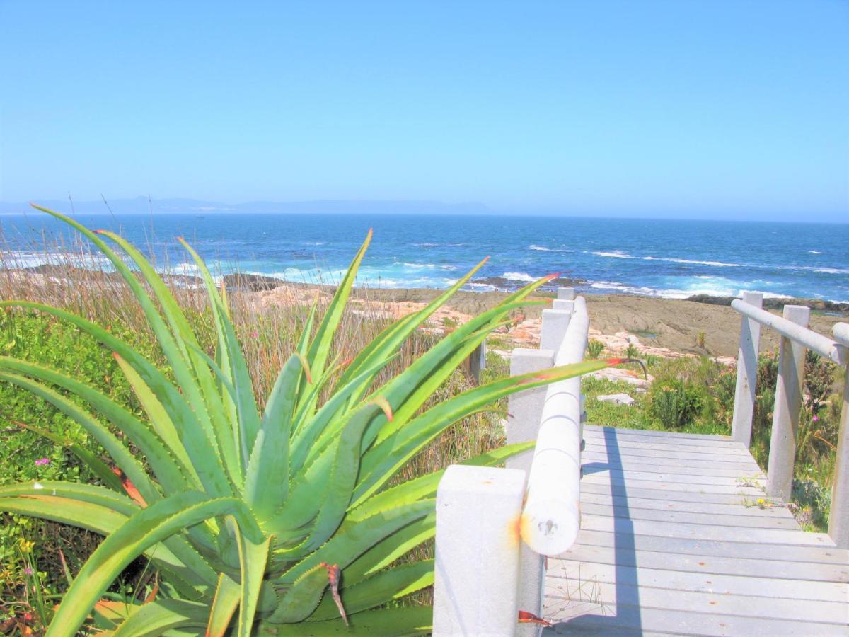Beachfront Cottage - Hermanus Whale View 外观 照片