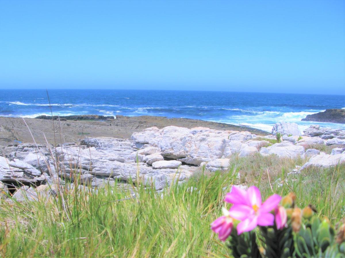 Beachfront Cottage - Hermanus Whale View 外观 照片