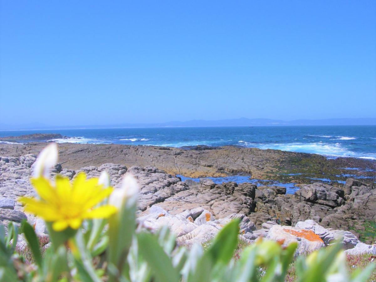 Beachfront Cottage - Hermanus Whale View 外观 照片